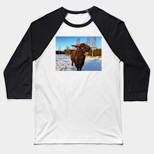 Scottish Highland Cattle Bull 2264 Baseball T-Shirt